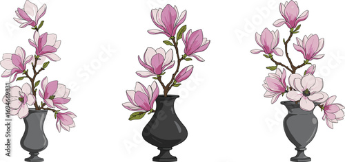 Magnolia flower bouquet in black vase illustration, pink floral arrangement, elegant home decor clipart, botanical vector art design