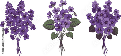 Purple violet flower bouquet illustration, hand-drawn botanical artwork, blooming spring flowers clipart, garden floral vector for decoration