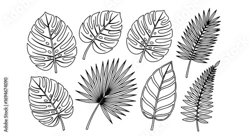 Collection of elegant tropical leaf outlines for creative design projects and natural decor