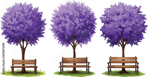 Three vibrant purple flowering trees with various wooden benches in park setting — nature illustration for outdoor relaxation and decor