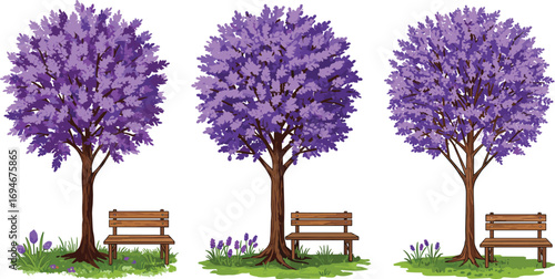Three vibrant purple flowering trees with wooden benches and blooming purple flowers on grassy park landscape — nature illustration