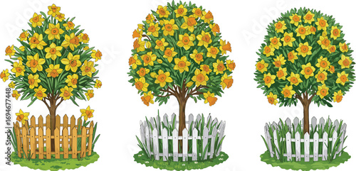 Yellow daffodil trees with wooden and white picket fences, spring garden scene, blooming floral nature, vibrant seasonal plants illustration