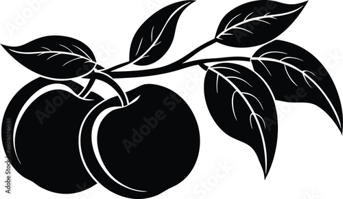 peaches with leaves on a branch Vector illustration