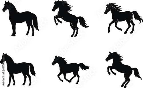 Set of Black Horse Silhouettes in Various Poses Including Standing Trotting Rearing Equine Motion Animal Vector Illustration for Design Use