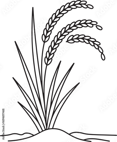 Elegant Line Art Depiction of a Rice Plant Featuring Grain Heads and Upward Pointing Leaves in a Field Setting