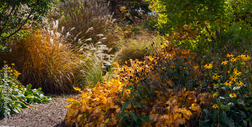 Obraz premium Beautiful garden in autumn in a golden sun light