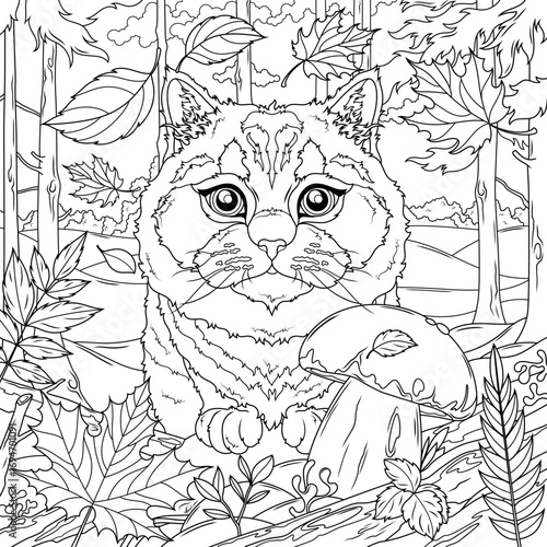 Cat in the autumn forest.Simple contour drawing.Coloring book antistress for children and adults. 
