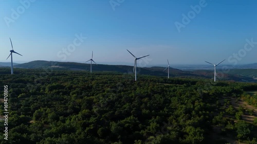 éoliennes dans la fôret