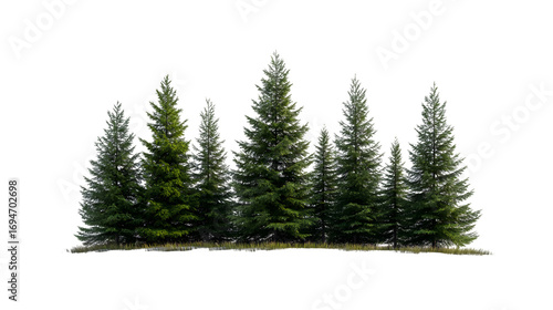 green forest grove offering serene natural beauty for peaceful outdoor scenes and environmental projects, Isolated on white background