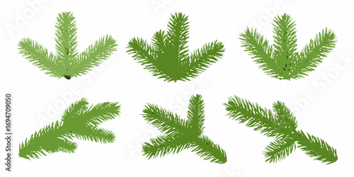 Collection of six green pine tree branches with needles in various arrangements and orientations