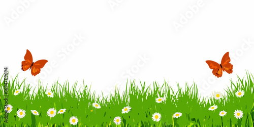 Two orange butterflies flying over a green grassy meadow with white daisies on a white background