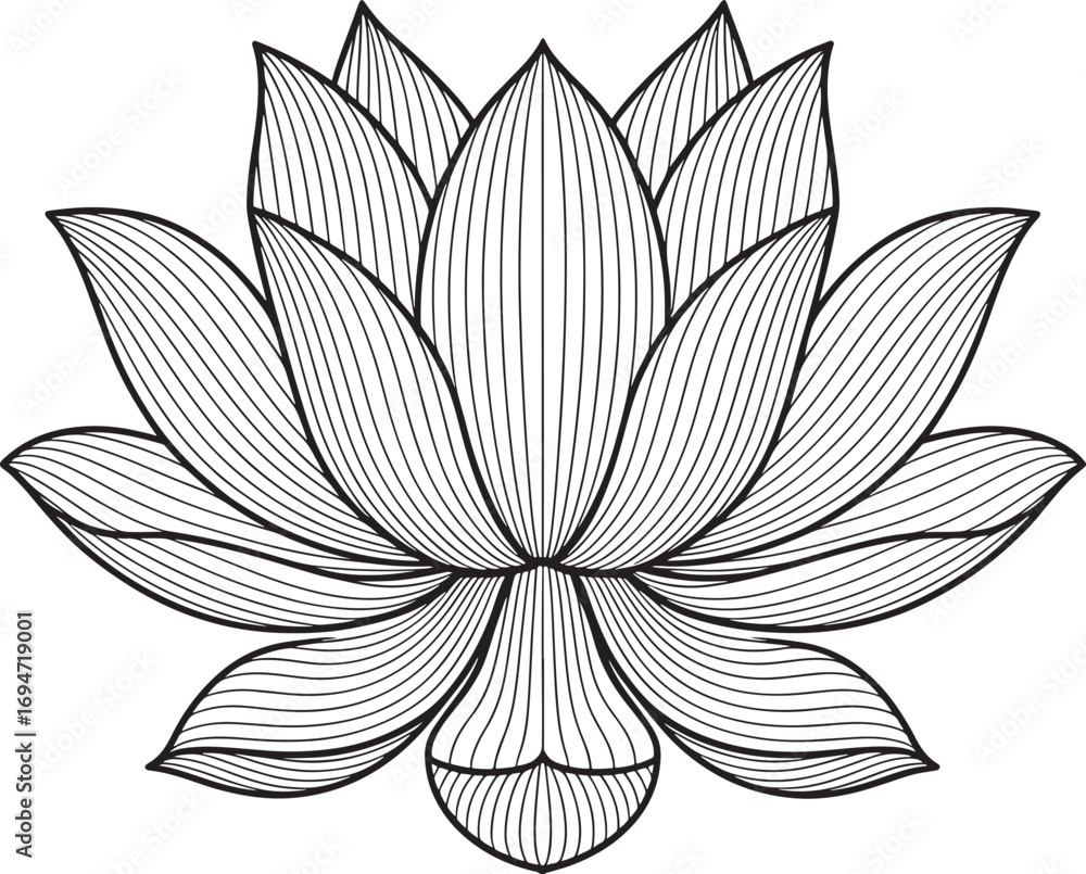 Fototapeta premium Detailed Line Art Depiction of a Lotus Flower an Elegant Floral Design with Intricate Petal Patterns and a Clean Black and White Aesthetic