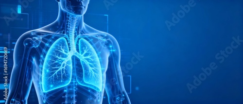 Human lungs and respiratory system