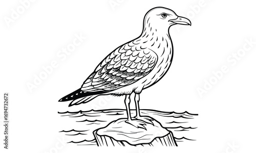 Seagull Kids t shirt design silhouette and vector line art, Detailed High-Quality Line Art, Suitable for Adult Coloring Books, Stress Relief, Relaxation, and Printable Art Therapy Projects.
