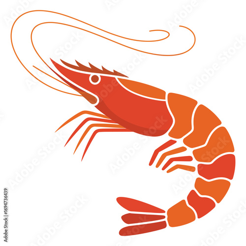 shrimp vector illustration