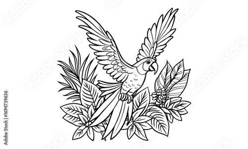Macaw Kids t shirt design silhouette and vector line art, Detailed High-Quality Line Art, Suitable for Adult Coloring Books, Stress Relief, Relaxation, and Printable Art Therapy Projects.