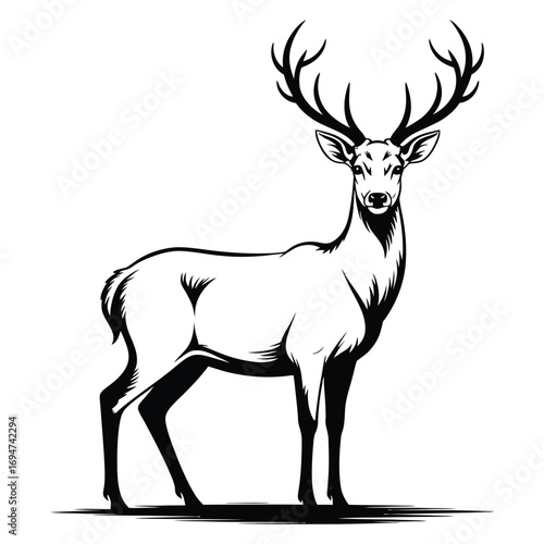 deer vector illustration