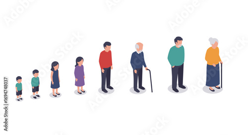 Isometric life stages: human growth from childhood to old age in a progression concept