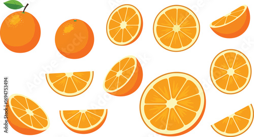 Juicy Oranges A Collection of Fresh Citrus Fruit Illustrations