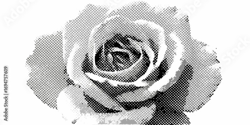 Close up of a black and white rose with a halftone dot effect and white background