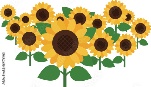 Illustration of a field of many yellow sunflowers and green leaves.