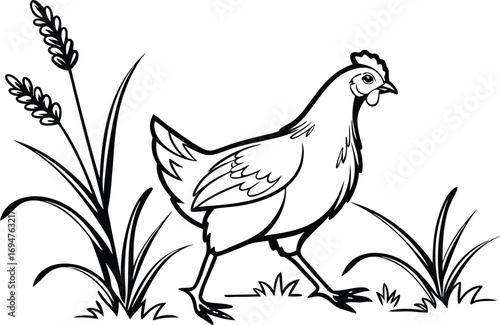 Chicken Walking Past Tall Grass Black and White Farm Animal Illustration