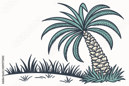 palm tree vector illustration