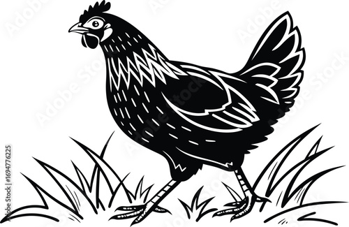 Monochrome Chicken Illustration of a Single Hen Standing Amongst Grass Tufts