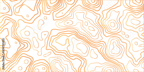 Topographic canyon geometric map relief texture with curved layers and shadow .Abstract geometric topographic contour map background. Panorama view gradient multicolor wave curve .