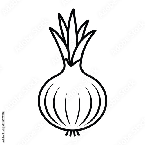 Simple outline drawing of a fresh onion vegetable