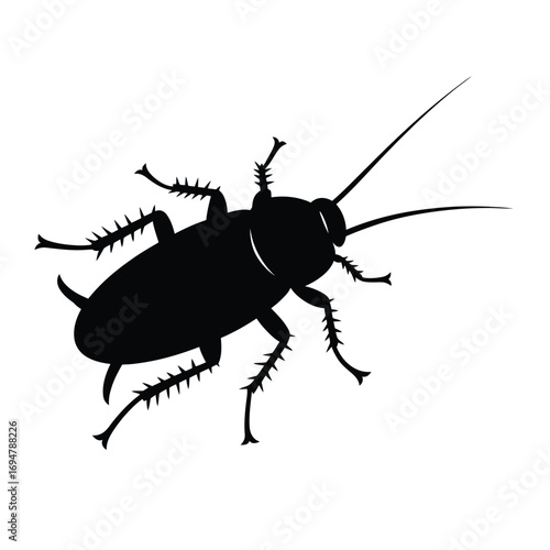 Silhouette of a cockroach insect on a white background