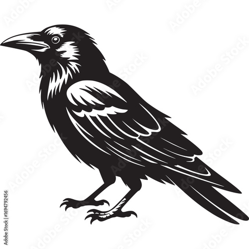 Vector art of detailed black silhouette of a raven perched, , representing mystery, intelligence, and the supernatural