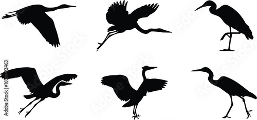 Heron silhouette collection, flying and standing poses, wading bird icons, black vector illustration, nature design, graceful wildlife movement