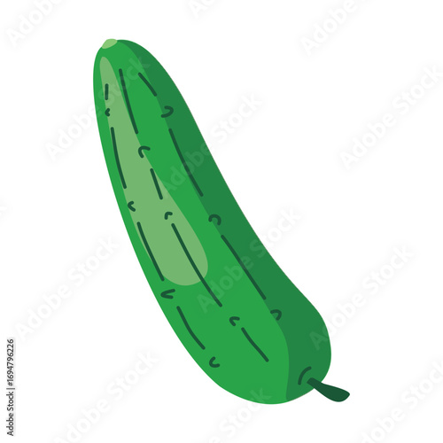 Illustration Cucumber. Colored, cartoon. Vector, isolated on white background