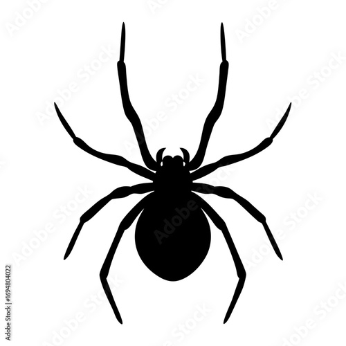 Black spider vector illustration arachnid insect silhouette halloween creepy crawly danger fear scary spooky web eight legs