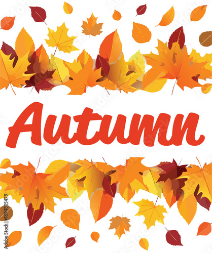 autumn leaves frame