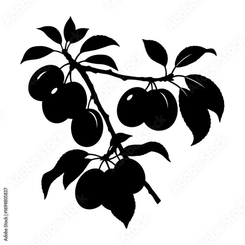 Black silhouette of a cherry branch with fruit and leaves isolated on white background