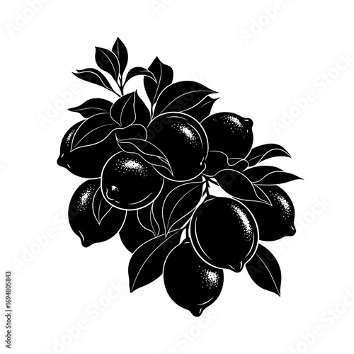 Bunch of lemons with leaves silhouette isolated on white background