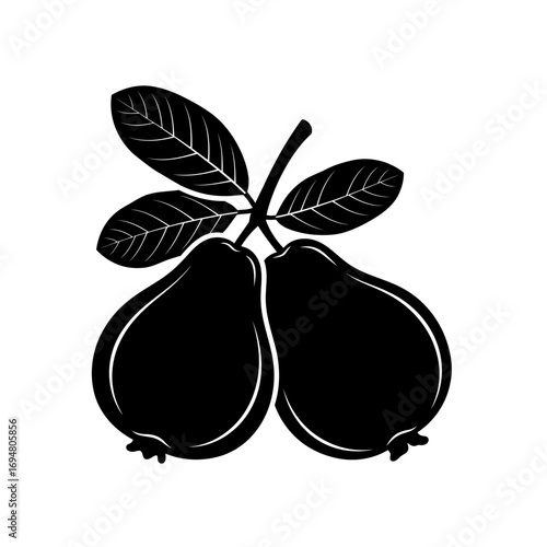 Two pears on a branch with leaves silhouette isolated on white background