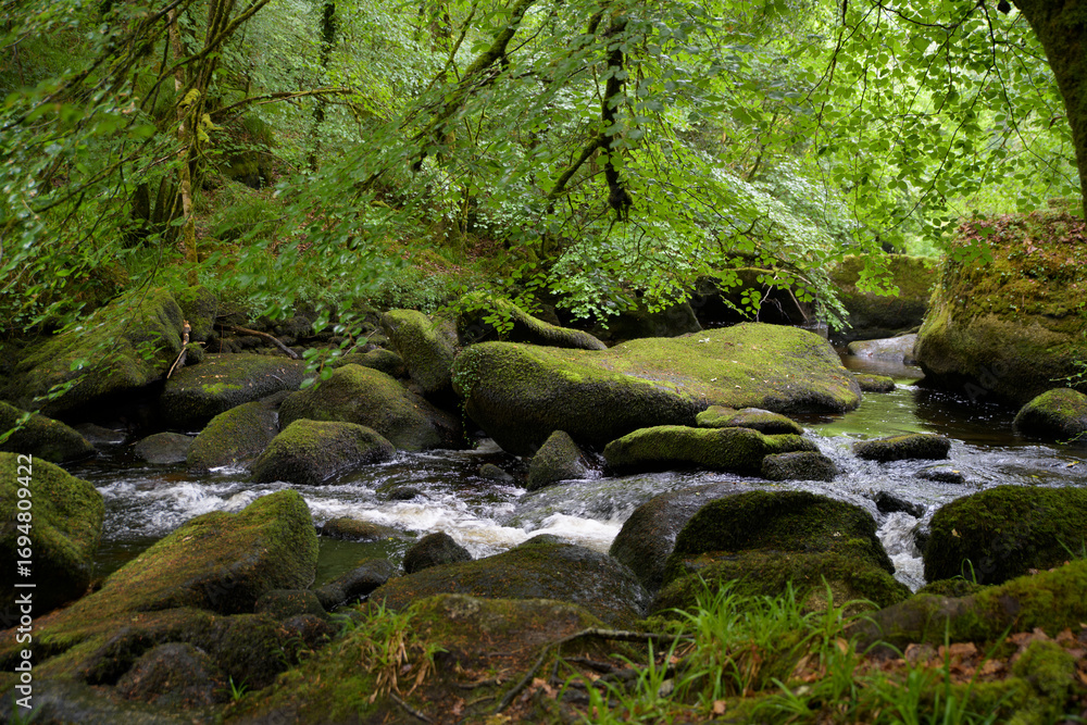 Obraz premium Les chaos dans la forêt d'Huelgoat en Bretagne