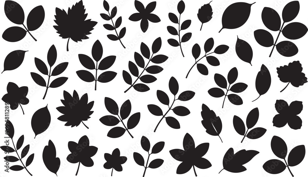 Fototapeta premium Botanical Silhouette Collection Diverse Leaf Shapes Isolated on Transparent Background Vector Art