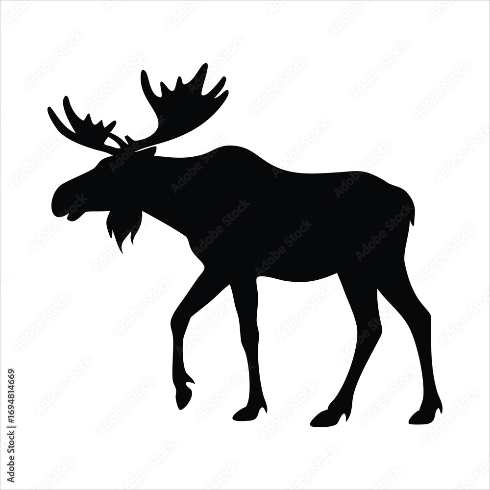 Fototapeta premium Black silhouette of a majestic moose with large antlers walking