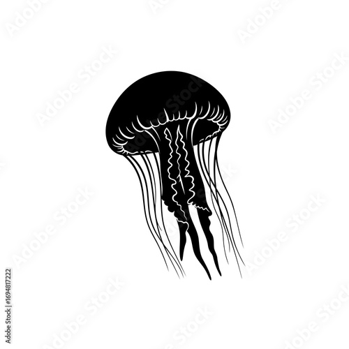 black and white jellyfish