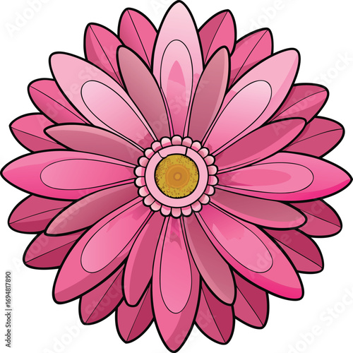 Pink Gerbera Daisy Flower Head with Yellow Center and Black Outline vector illustration