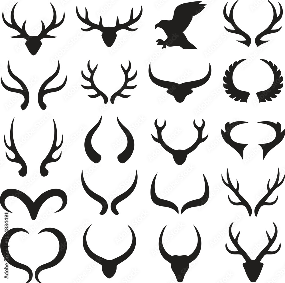 Fototapeta premium Collection of diverse animal antlers horns and silhouette eagle wings
