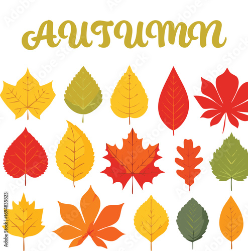 Autumn forest maple leaf in september season, flying orange foliage from tree on ground transparent background