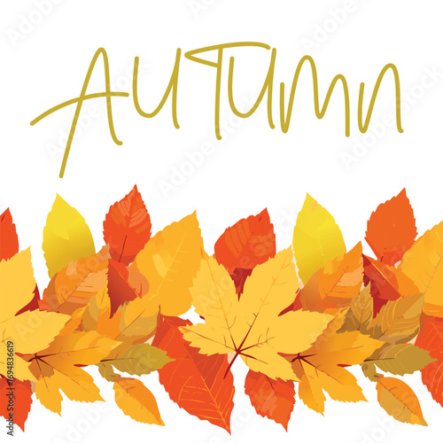Autumn forest maple leaf in september season, flying orange foliage from tree on ground transparent background