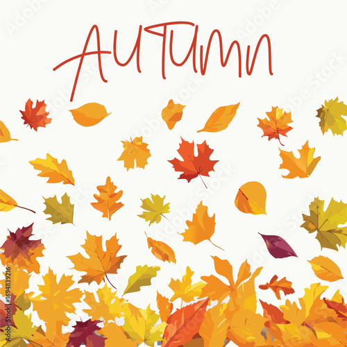 Autumn forest maple leaf in september season, flying orange foliage from tree on ground transparent background