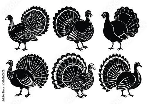 Turkey Bird Vector Silhouette Collection in Black and White