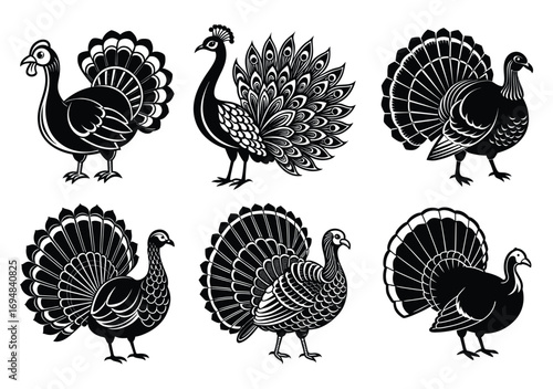 Turkey Bird Vector Silhouette Collection in Black and White